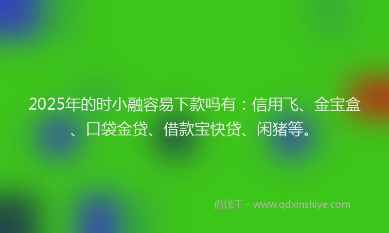 2025年的时小融容易下款吗有：信用飞、金宝盒、口袋金贷、借款宝快贷、闲猪等。