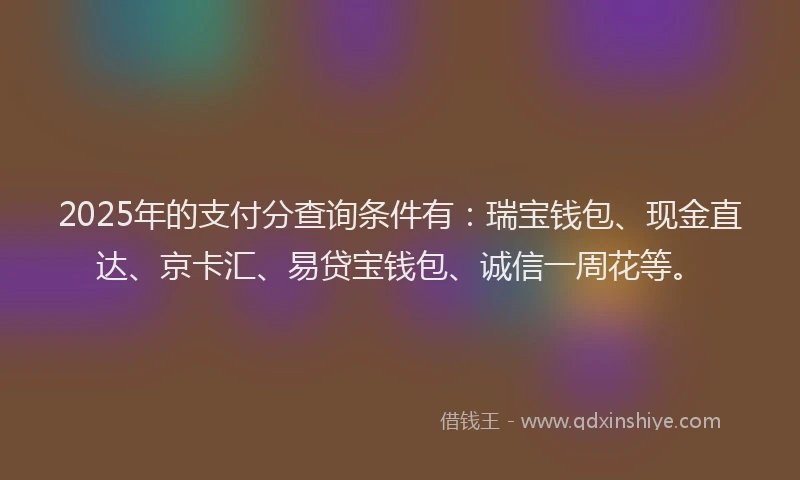 2025年的支付分查询条件有：瑞宝钱包、现金直达、京卡汇、易贷宝钱包、诚信一周花等。