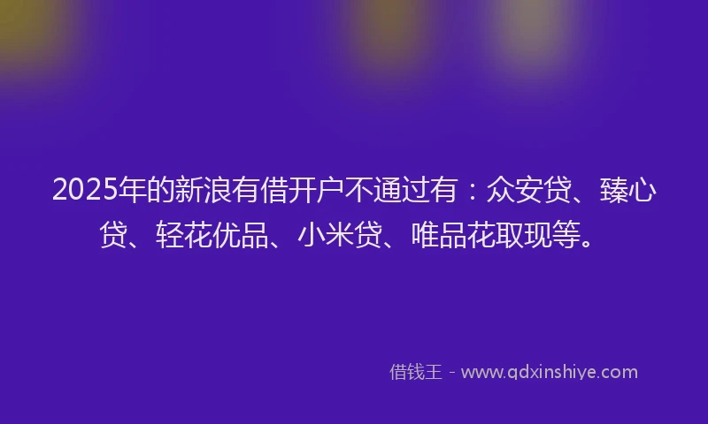 2025年的新浪有借开户不通过有：众安贷、臻心贷、轻花优品、小米贷、唯品花取现等。