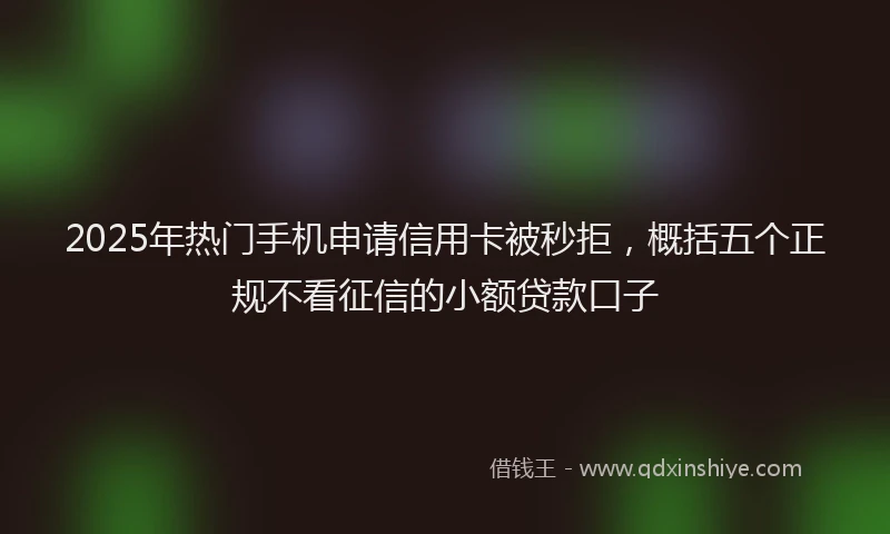 2025年热门手机申请信用卡被秒拒，概括五个正规不看征信的小额贷款口子