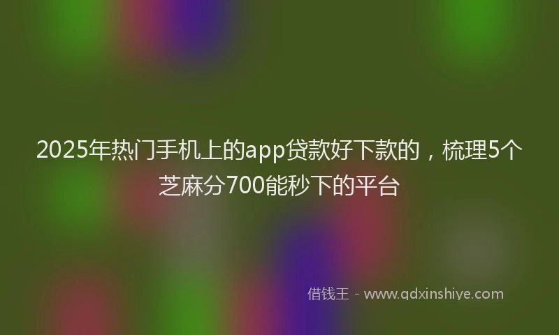 2025年热门手机上的app贷款好下款的，梳理5个芝麻分700能秒下的平台