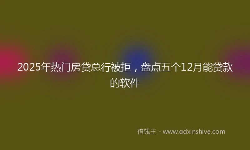 2025年热门房贷总行被拒，盘点五个12月能贷款的软件