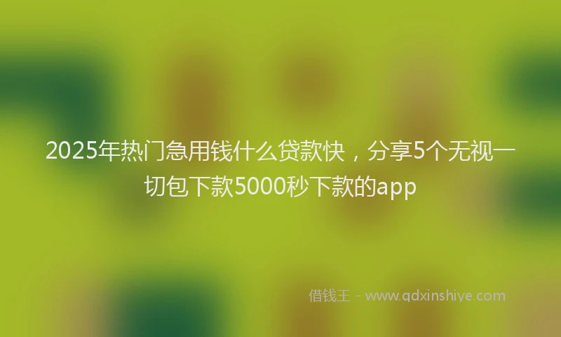 2025年热门急用钱什么贷款快，分享5个无视一切包下款5000秒下款的app