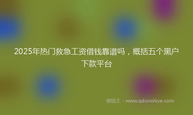 2025年热门救急工资借钱靠谱吗，概括五个黑户下款平台