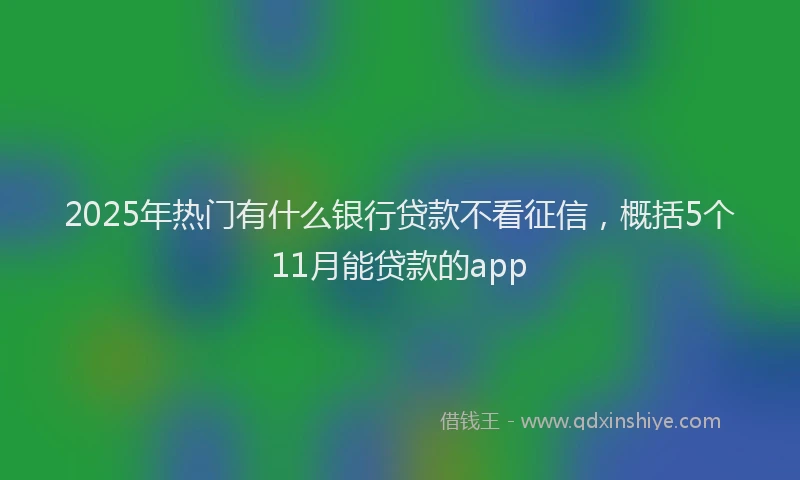 2025年热门有什么银行贷款不看征信，概括5个11月能贷款的app