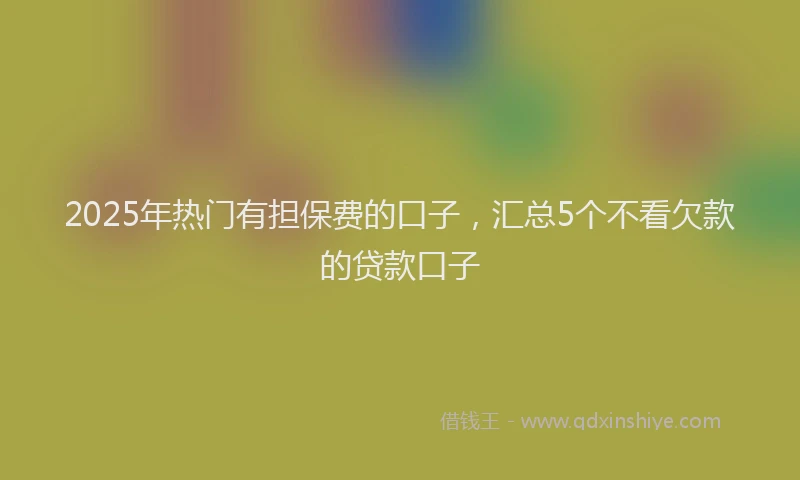 2025年热门有担保费的口子，汇总5个不看欠款的贷款口子