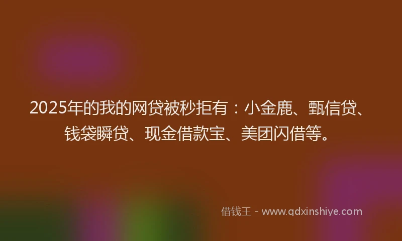 2025年的我的网贷被秒拒有：小金鹿、甄信贷、钱袋瞬贷、现金借款宝、美团闪借等。