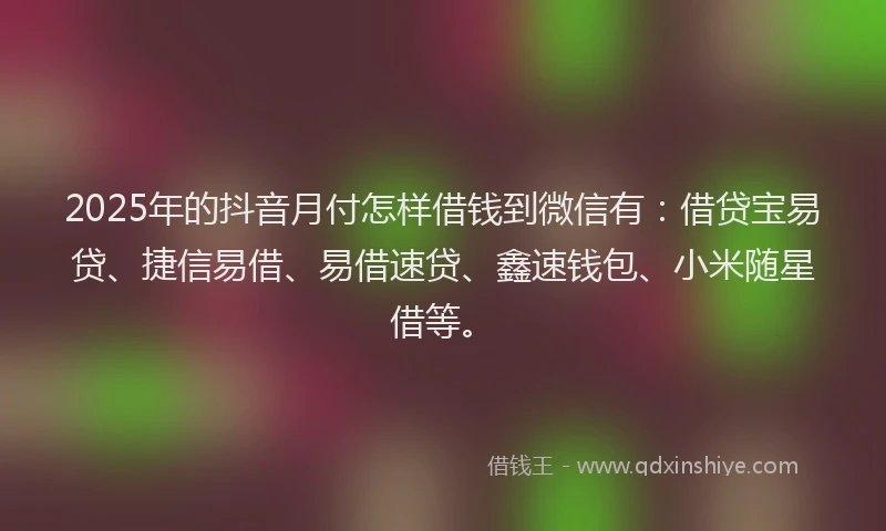 2025年的抖音月付怎样借钱到微信有：借贷宝易贷、捷信易借、易借速贷、鑫速钱包、小米随星借等。