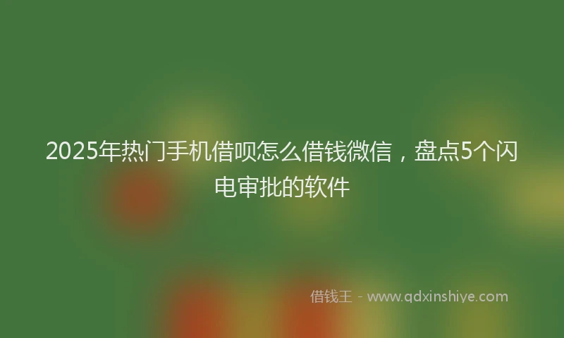 2025年热门手机借呗怎么借钱微信，盘点5个闪电审批的软件