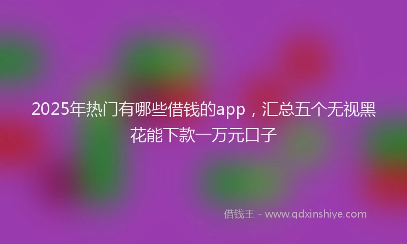 2025年热门有哪些借钱的app，汇总五个无视黑花能下款一万元口子
