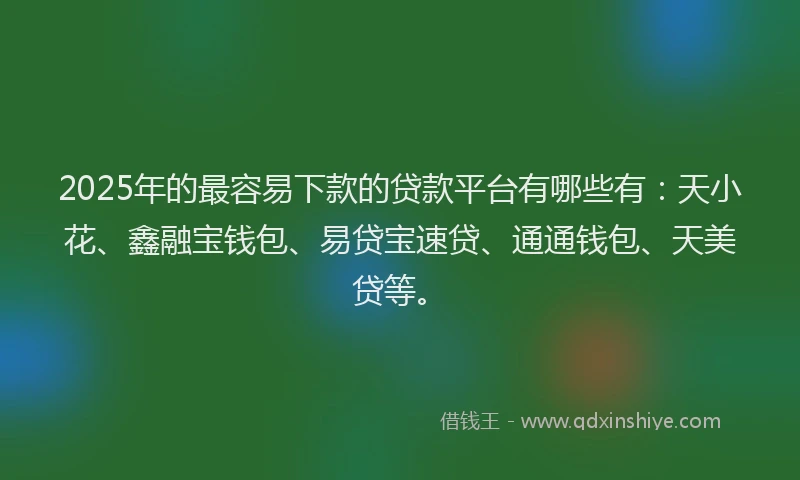 2025年的最容易下款的贷款平台有哪些有：天小花、鑫融宝钱包、易贷宝速贷、通通钱包、天美贷等。