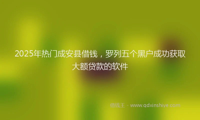 2025年热门成安县借钱，罗列五个黑户成功获取大额贷款的软件