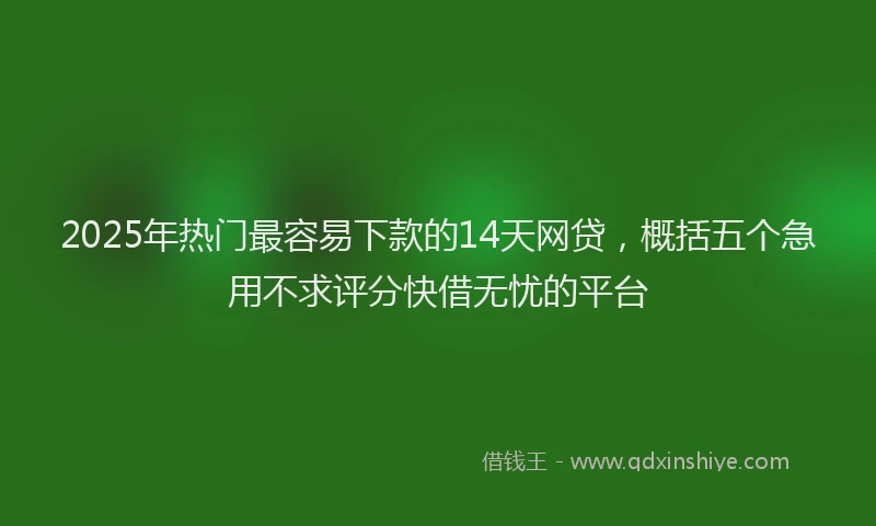 2025年热门最容易下款的14天网贷，概括五个急用不求评分快借无忧的平台