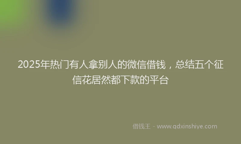 2025年热门有人拿别人的微信借钱，总结五个征信花居然都下款的平台
