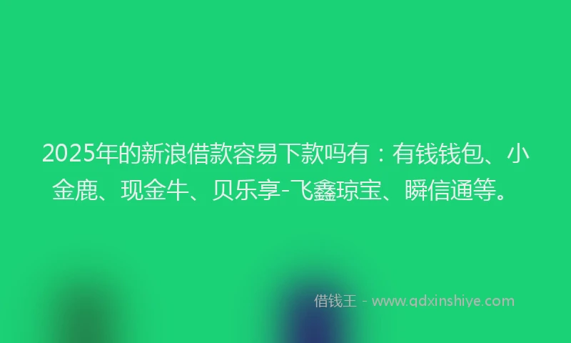 2025年的新浪借款容易下款吗有：有钱钱包、小金鹿、现金牛、贝乐享-飞鑫琼宝、瞬信通等。