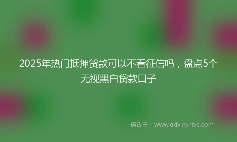 2025年热门抵押贷款可以不看征信吗，盘点5个无视黑白贷款口子
