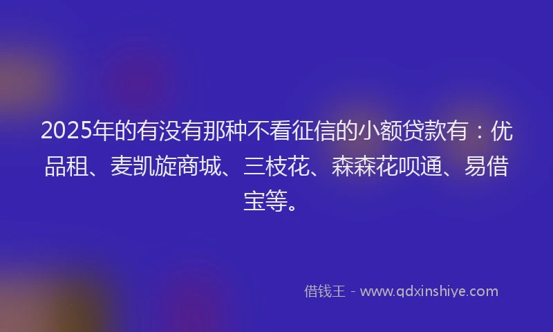 2025年的有没有那种不看征信的小额贷款有：优品租、麦凯旋商城、三枝花、森森花呗通、易借宝等。