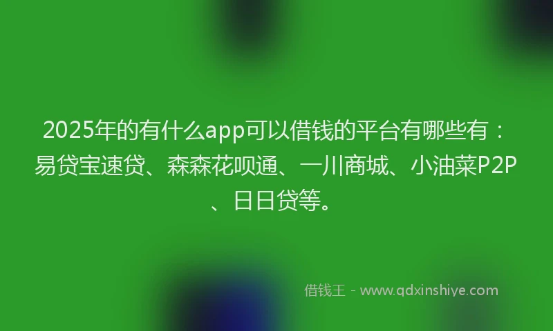 2025年的有什么app可以借钱的平台有哪些有：易贷宝速贷、森森花呗通、一川商城、小油菜P2P、日日贷等。