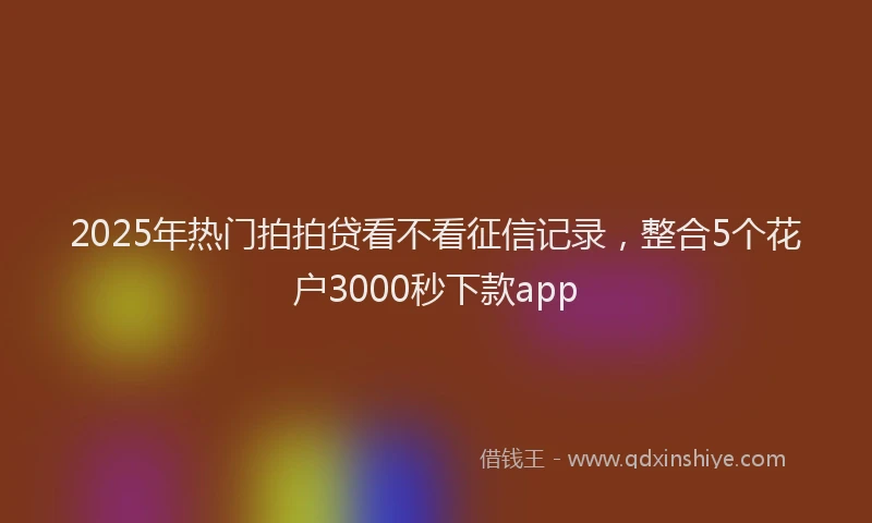 2025年热门拍拍贷看不看征信记录，整合5个花户3000秒下款app
