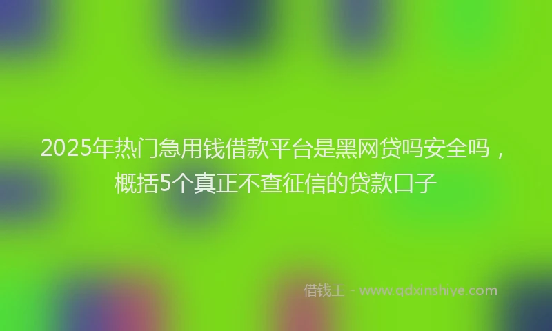 2025年热门急用钱借款平台是黑网贷吗安全吗，概括5个真正不查征信的贷款口子