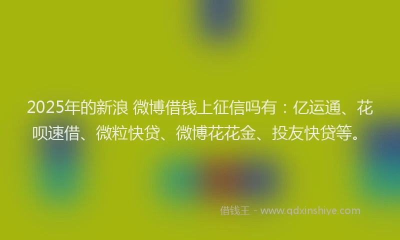 2025年的新浪 微博借钱上征信吗有：亿运通、花呗速借、微粒快贷、微博花花金、投友快贷等。