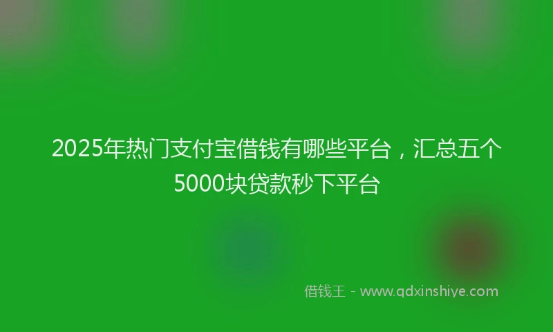 2025年热门支付宝借钱有哪些平台，汇总五个5000块贷款秒下平台