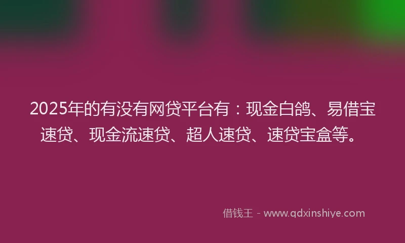 2025年的有没有网贷平台有：现金白鸽、易借宝速贷、现金流速贷、超人速贷、速贷宝盒等。