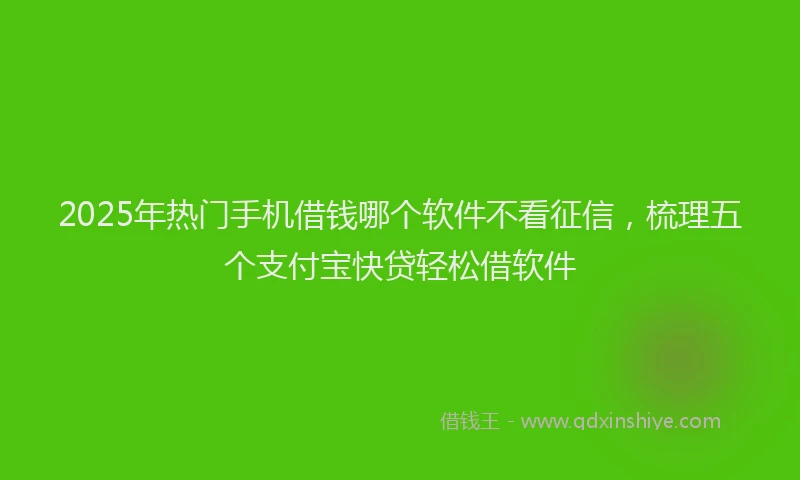 2025年热门手机借钱哪个软件不看征信，梳理五个支付宝快贷轻松借软件