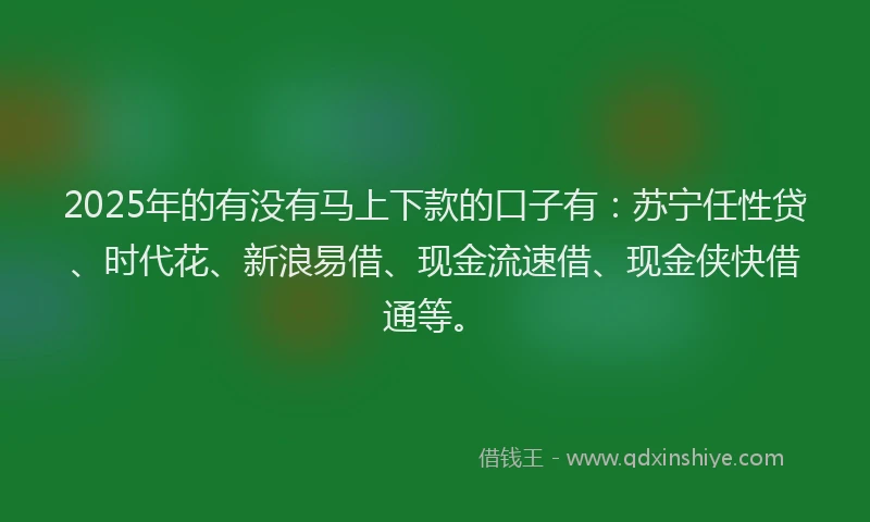 2025年的有没有马上下款的口子有：苏宁任性贷、时代花、新浪易借、现金流速借、现金侠快借通等。
