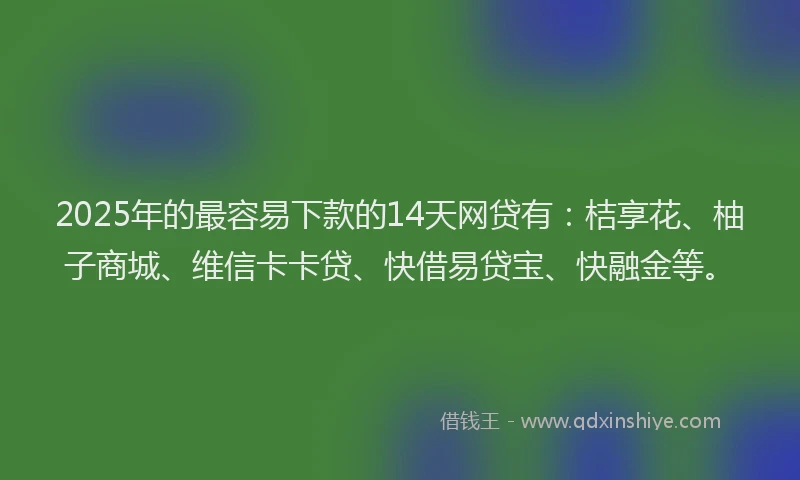 2025年的最容易下款的14天网贷有：桔享花、柚子商城、维信卡卡贷、快借易贷宝、快融金等。