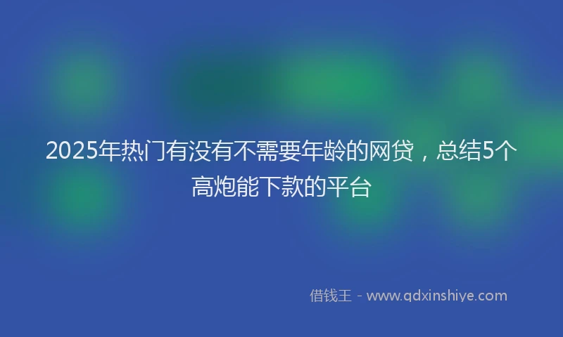 2025年热门有没有不需要年龄的网贷，总结5个高炮能下款的平台