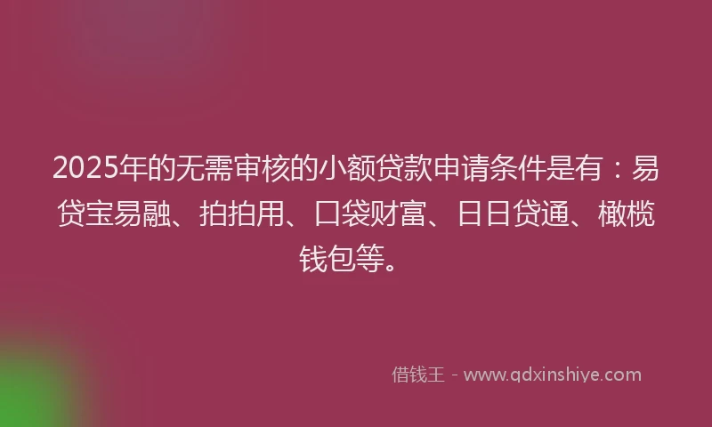 2025年的无需审核的小额贷款申请条件是有：易贷宝易融、拍拍用、口袋财富、日日贷通、橄榄钱包等。
