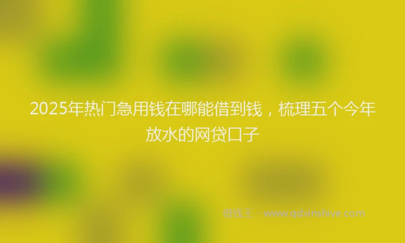 2025年热门急用钱在哪能借到钱，梳理五个今年放水的网贷口子