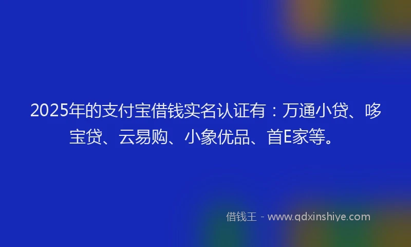 2025年的支付宝借钱实名认证有：万通小贷、哆宝贷、云易购、小象优品、首E家等。