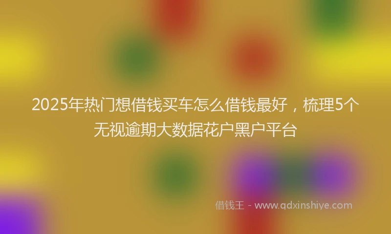 2025年热门想借钱买车怎么借钱最好，梳理5个无视逾期大数据花户黑户平台