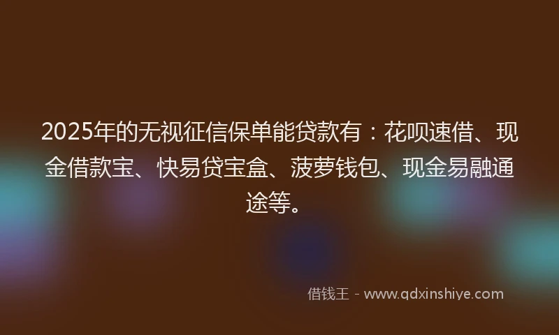 2025年的无视征信保单能贷款有：花呗速借、现金借款宝、快易贷宝盒、菠萝钱包、现金易融通途等。