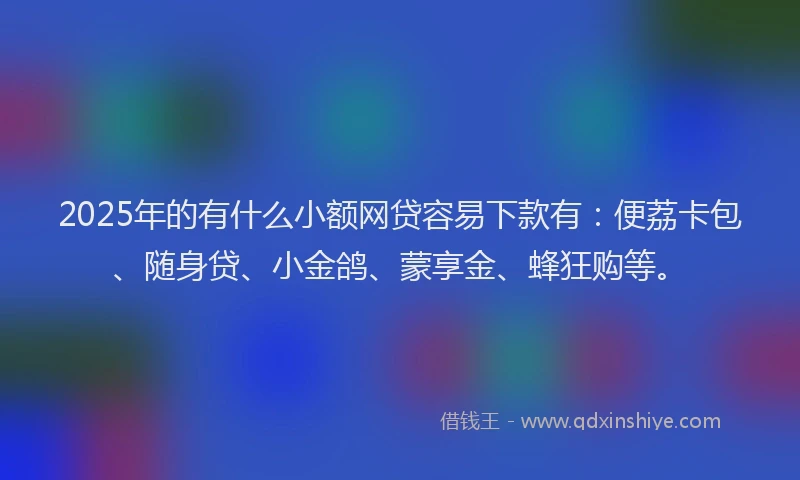 2025年的有什么小额网贷容易下款有：便荔卡包、随身贷、小金鸽、蒙享金、蜂狂购等。