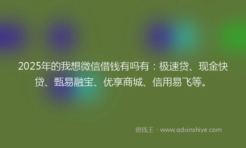 2025年的我想微信借钱有吗有：极速贷、现金快贷、甄易融宝、优享商城、信用易飞等。