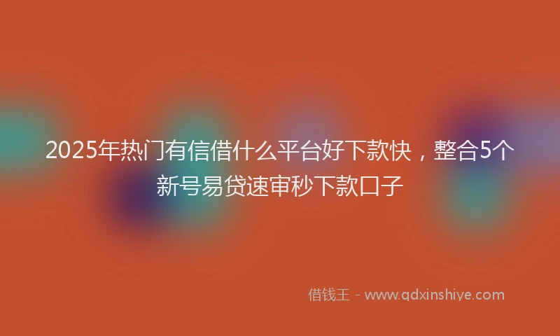 2025年热门有信借什么平台好下款快，整合5个新号易贷速审秒下款口子