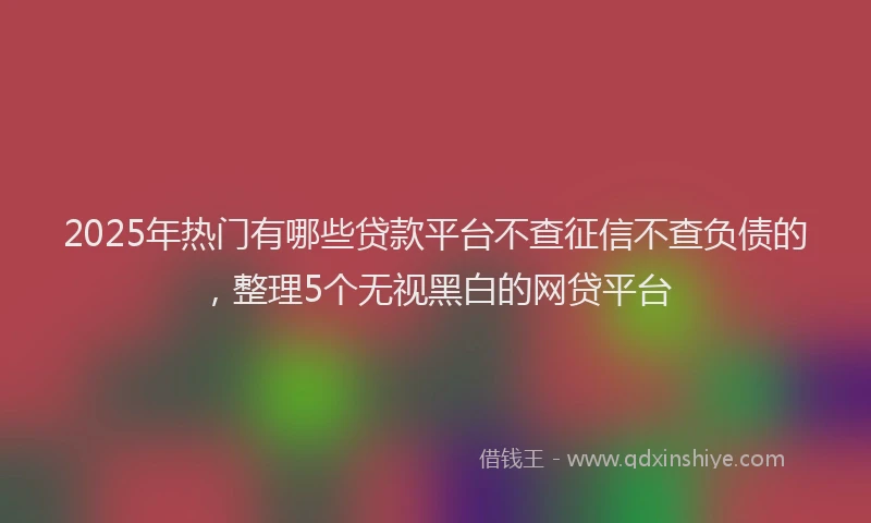 2025年热门有哪些贷款平台不查征信不查负债的，整理5个无视黑白的网贷平台