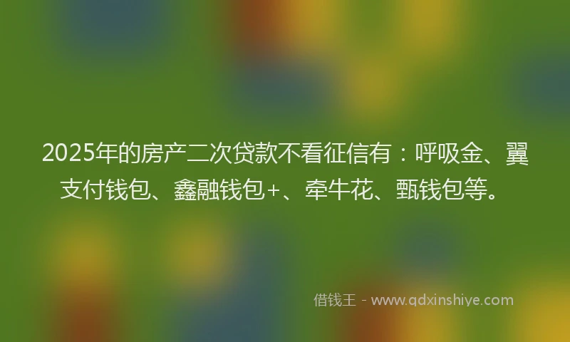 2025年的房产二次贷款不看征信有：呼吸金、翼支付钱包、鑫融钱包+、牵牛花、甄钱包等。