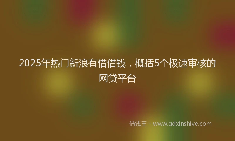 2025年热门新浪有借借钱，概括5个极速审核的网贷平台