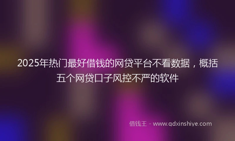 2025年热门最好借钱的网贷平台不看数据，概括五个网贷口子风控不严的软件