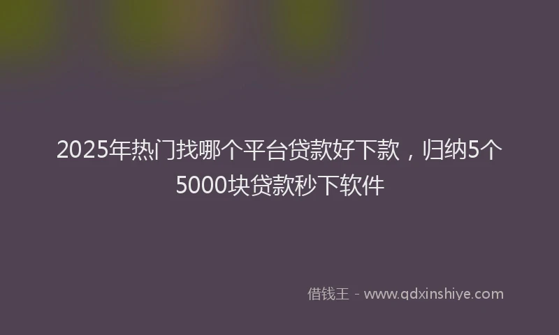 2025年热门找哪个平台贷款好下款，归纳5个5000块贷款秒下软件
