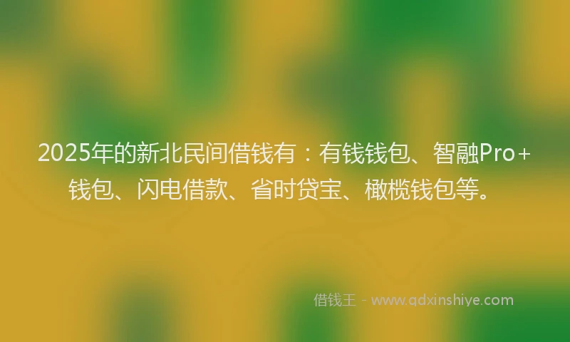 2025年的新北民间借钱有：有钱钱包、智融Pro+钱包、闪电借款、省时贷宝、橄榄钱包等。