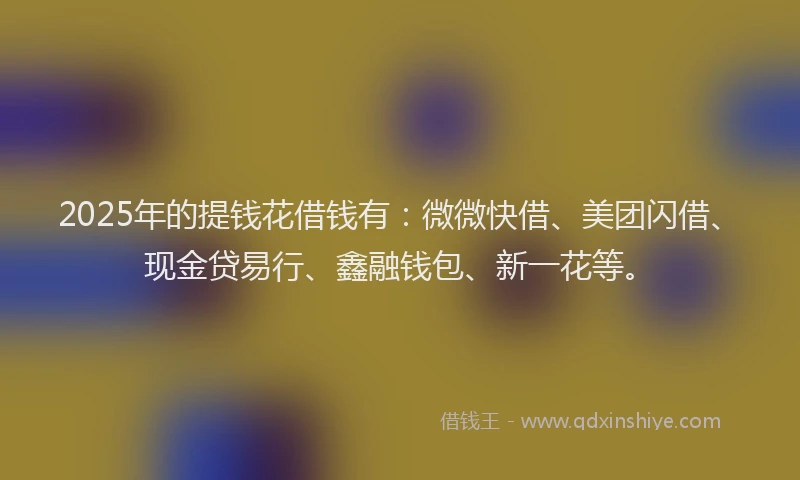 2025年的提钱花借钱有：微微快借、美团闪借、现金贷易行、鑫融钱包、新一花等。