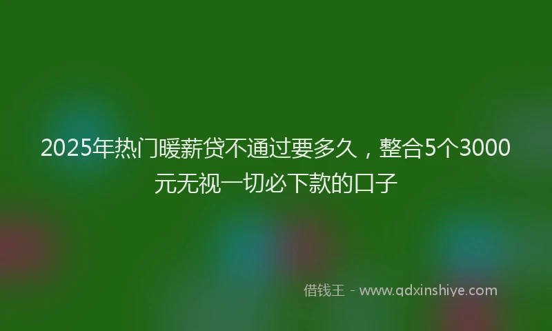 2025年热门暖薪贷不通过要多久，整合5个3000元无视一切必下款的口子
