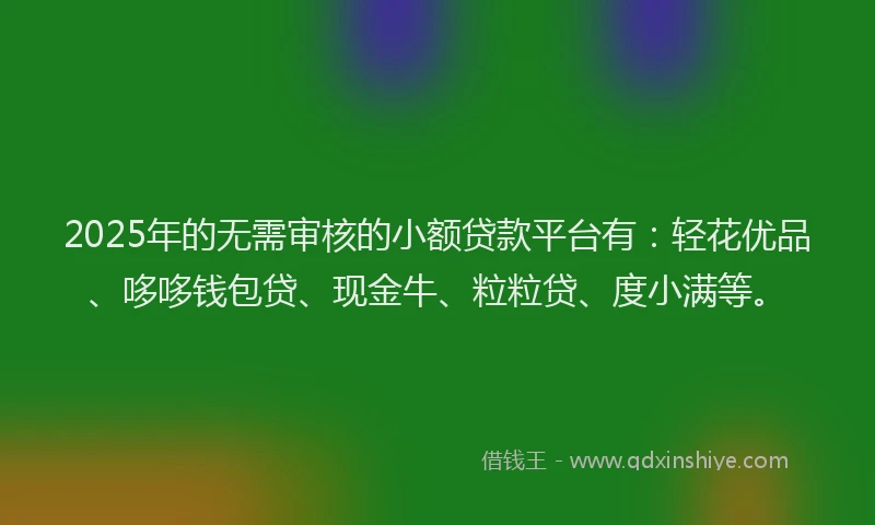 2025年的无需审核的小额贷款平台有：轻花优品、哆哆钱包贷、现金牛、粒粒贷、度小满等。