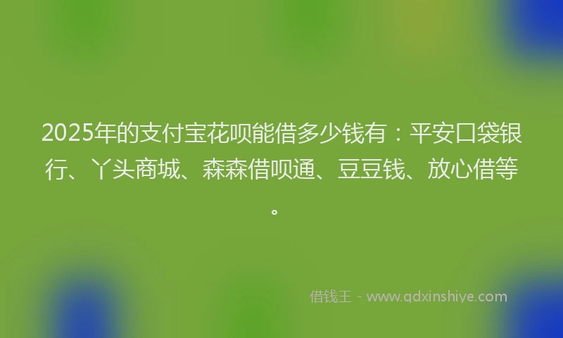2025年的支付宝花呗能借多少钱有：平安口袋银行、丫头商城、森森借呗通、豆豆钱、放心借等。