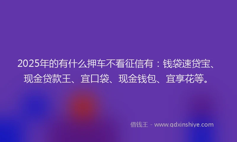 2025年的有什么押车不看征信有：钱袋速贷宝、现金贷款王、宜口袋、现金钱包、宜享花等。